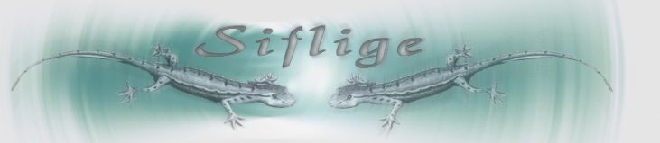 The Siflige Stream - Home